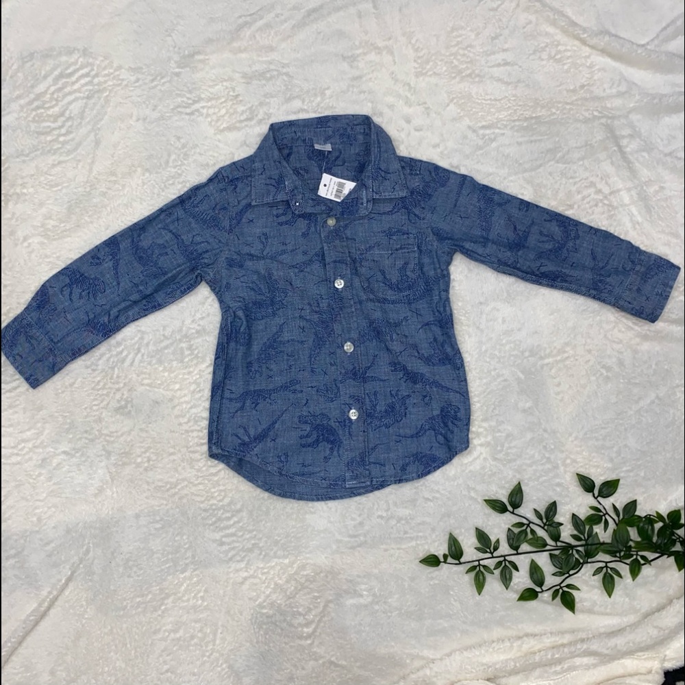 Baby gap toddler button down